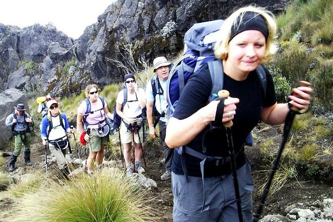 Lemosho Route 8 Days 7 Nights/Kilimanjaro Climb - Inclusions in Lemosho Route Package
