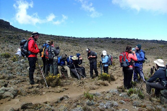 Lemosho Route 8 Days 7 Nights/Kilimanjaro Climb - Suggested Gratuities for Crew