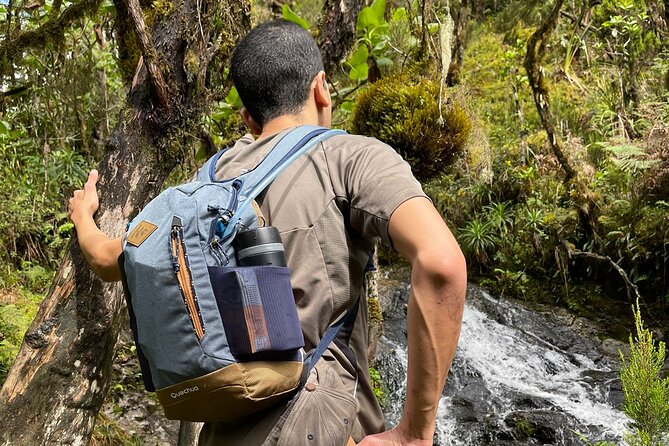 Lemosho Route Seven Days - The Lemosho Route Itinerary