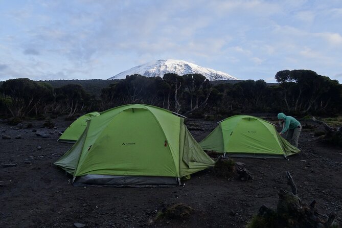 Lemosho Route Seven Days - Camping and Accommodations