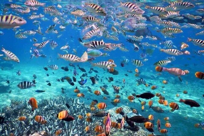 Lempuyang and Blue Lagoon Snorkeling - Cancellation and Payment Policy