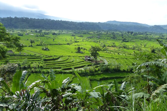 Lempuyang Gate of Heaven Tour - Sunrise and Lunch