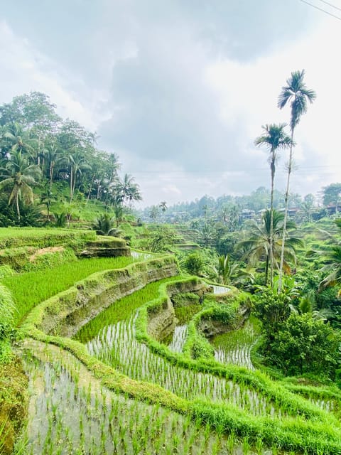 Lempuyang Gate of Heaven With Bali Karma Journey - Important Information