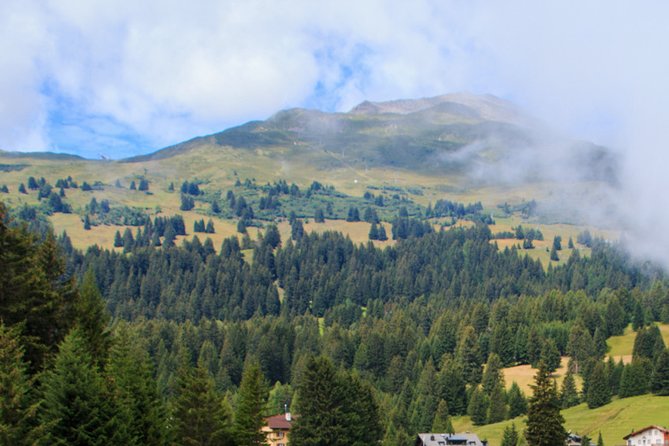 Lenzerheide Foxtrail Anda - Accessibility and Requirements