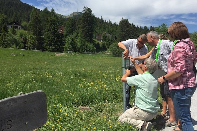 Lenzerheide Foxtrail Anda - Reviews and Ratings