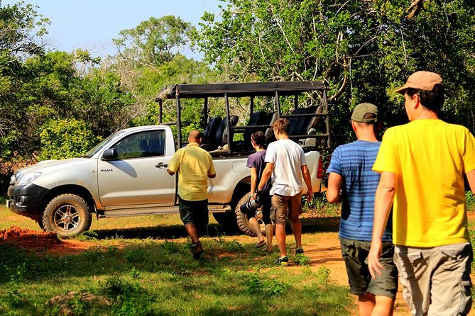 Leopard Safari Tour in Yala National Park - Meeting and Pickup