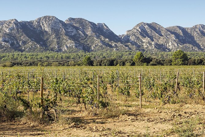 Les Baux De Provence: Wine Day Tour: 8 Hours - Visiting Saint Remy De Provence