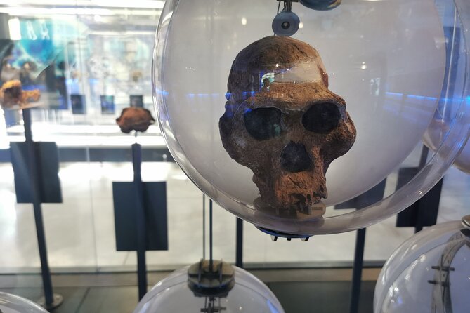 Lesedi Cultural Village and Cradle of Humankind Tour - Group Size