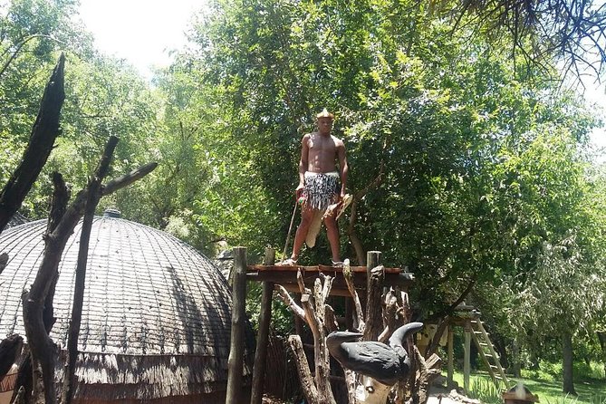 Lesedi Cultural Village and Lion Park Tour - Inclusions of the Tour