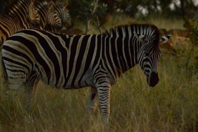 Lesedi Cultural Village and Lion Park Tour - Logistics and Accessibility