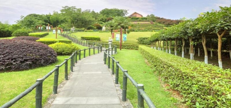 Leshan Buddha, Tea House&Mt. Emei 2 Days Private Tour - Included Services