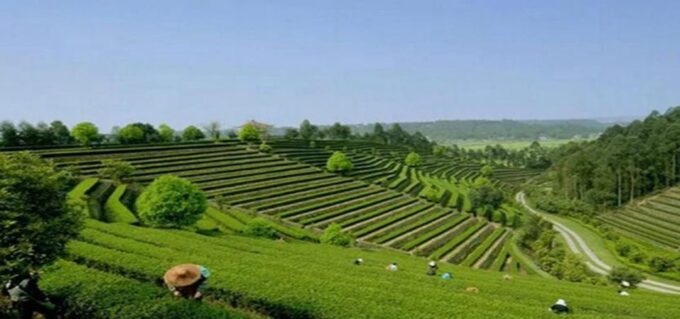 Leshan Buddha, Tea House&Mt. Emei 2 Days Private Tour - Frequently Asked Questions