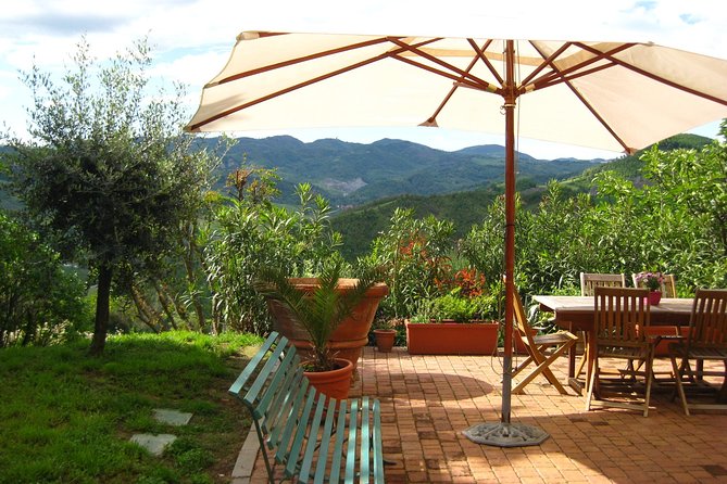 Lesson With Traditional Bolognese Cuisine Chef - Enjoy Homemade Meal With Wine