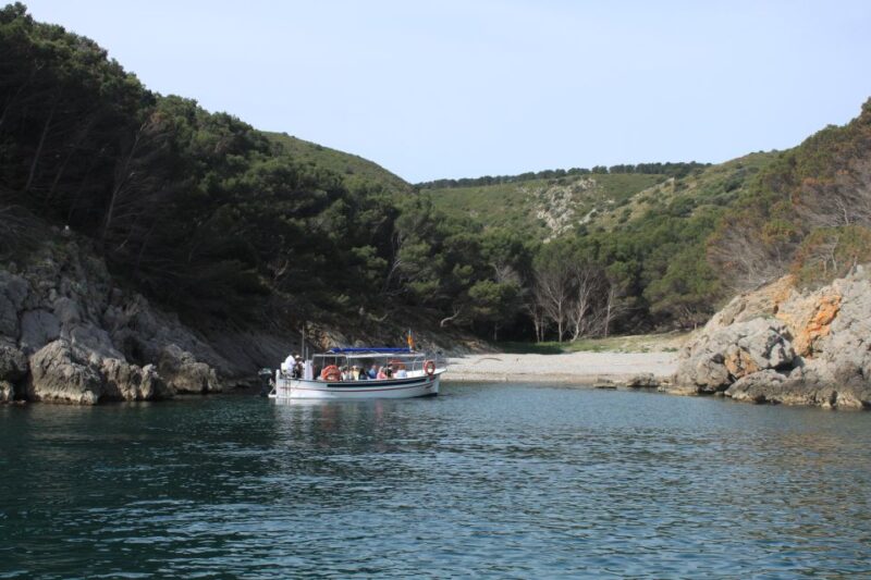 LEstartit: Boat Trip to the Medes Islands and the NP Caves - Explore Medes Islands