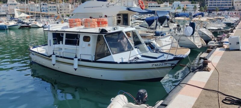 LEstartit: Costa Brava Boat Trip to Les Illes Medes - Optional Water Activities