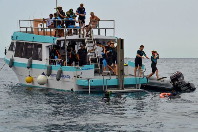 Lestartit: Medes Islands Cruise With Guided Snorkeling - Preparation and Restrictions