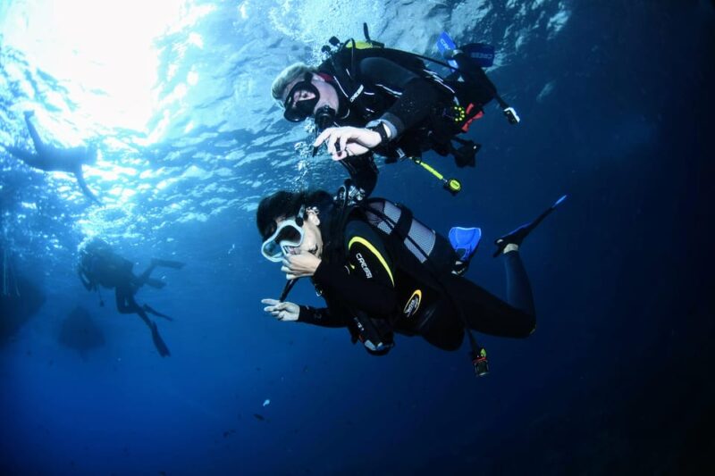 Lestartit: Try Dive in a National Park With Us! - Key Points