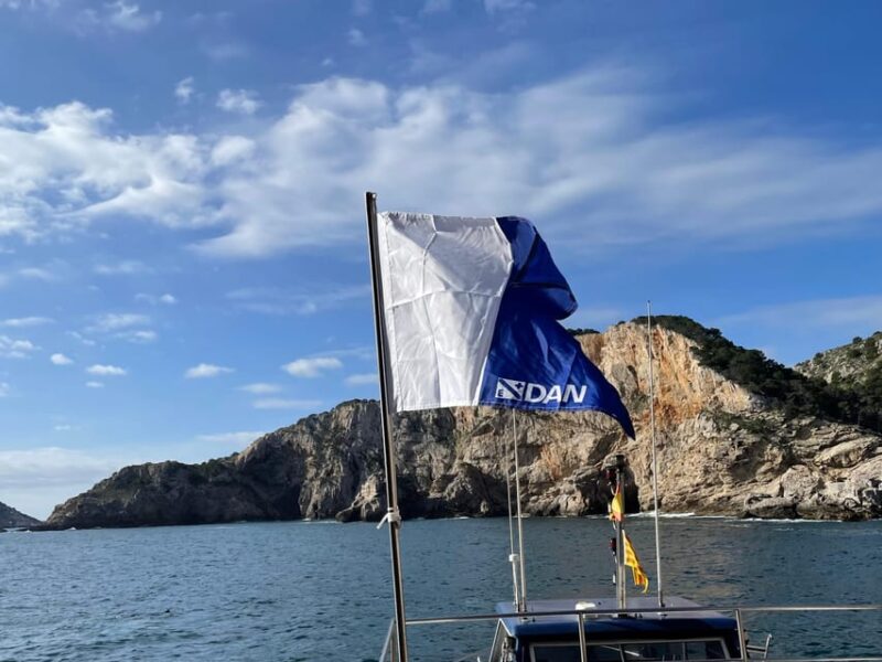 Lestartit: Try Dive in a National Park With Us! - Pricing and Booking