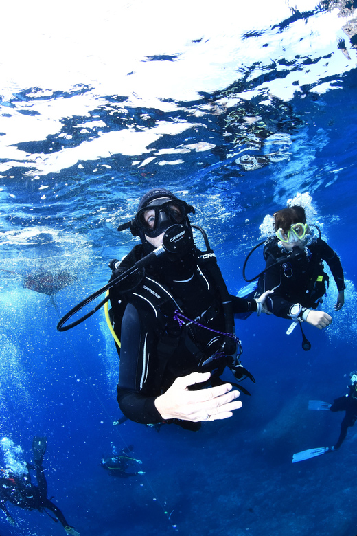 Lestartit: Try Dive in a National Park With Us! - Health Restrictions
