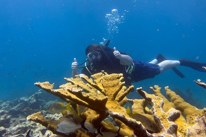 Let It Ride Charters-Private Fishing / Snorkel Combo Key Largo FL - Meeting and Pickup