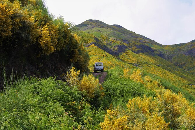 Let-Me-Surprise-You Private Full-Day Tour in a All Terrain, Open Top Car - Discover Top Landmarks
