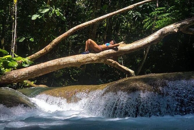 Lethe River Bamboo Rafting & Mayfield Falls With Lunch & Drink - Mayfield Falls Adventure