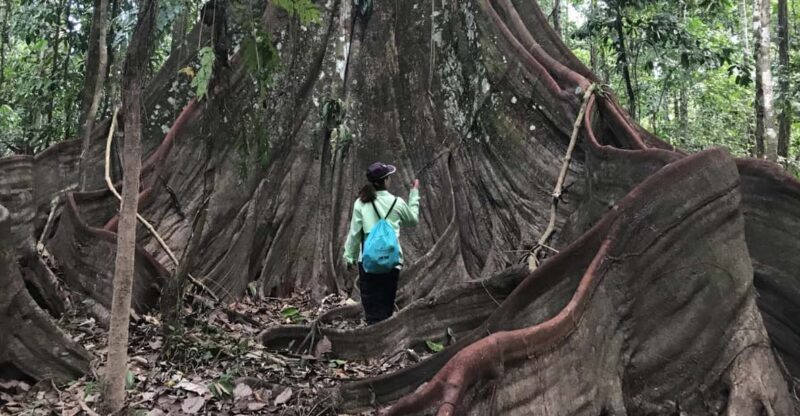 Leticia: Amazing Three Day Jungle Tours - Inclusions