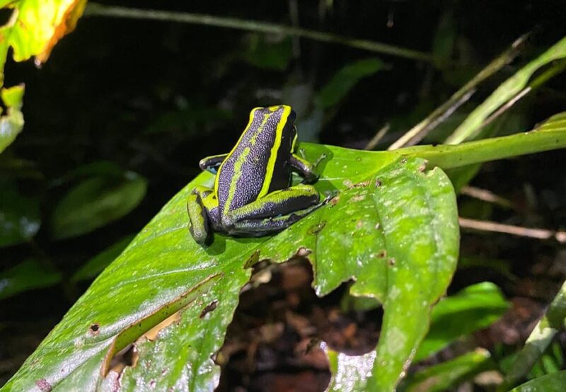 Leticia: Amazing Three Day Jungle Tours - Booking and Cancellation