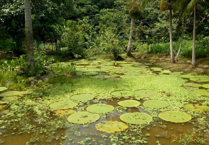 Leticia: Amazing Three Day Jungle Tours - Contact Information