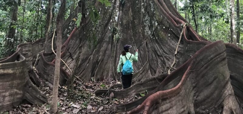 Leticia: Amazing Three Day Jungle Tours - Itinerary Details