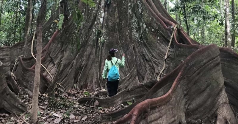 Leticia: Amazing Three Day Jungle Tours - Key Points