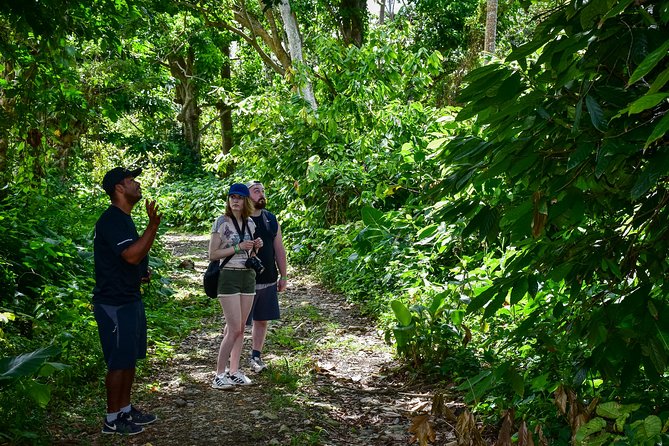 Lets Do Hiking in Punta Cana - Inclusions and Tour Details