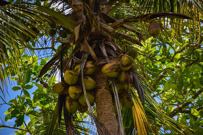 Lets Do Hiking in Punta Cana - Hiking Tour Difficulty and Requirements