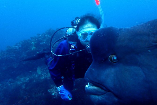 Lets Enjoy Scuba Diving in Izu Oceanic Park Izu Peninsula for Certificate Diver - Medical and Fitness Requirements