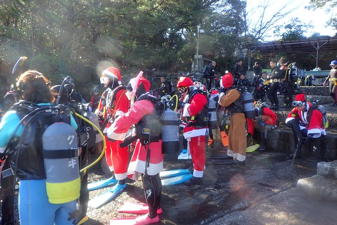 Lets Enjoy Scuba Diving in Izu Oceanic Park Izu Peninsula for Certificate Diver - Private Tour/Activity Specifics