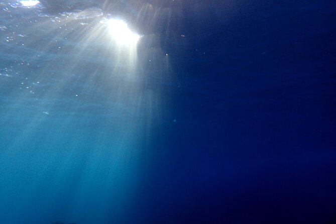 Lets Enjoy Scuba Diving in Izu Oceanic Park Izu Peninsula for Certificate Diver - Location and Transportation