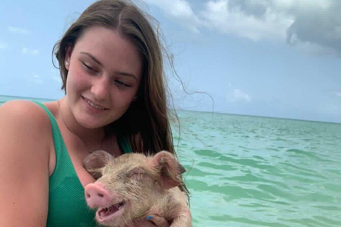 Lets Get Piggy With It: a Splashin Good Time With the Pigs! - Refreshing Bahamian Treats