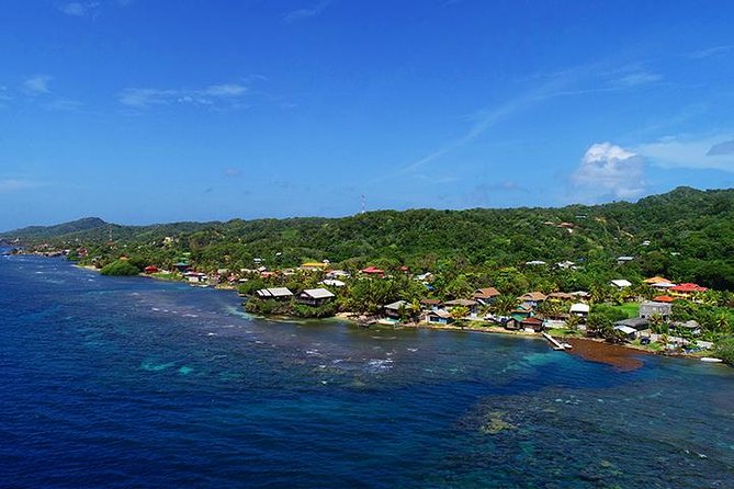 Lets Go Native Roatan City Cultural Tour, Transfer - Key Points