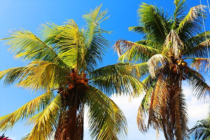 Lets Go Native Roatan City Cultural Tour, Transfer - Unique Shopping Experiences