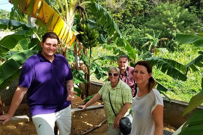 Lets Go Native Roatan City Cultural Tour, Transfer - Tour Guide and Customer Feedback