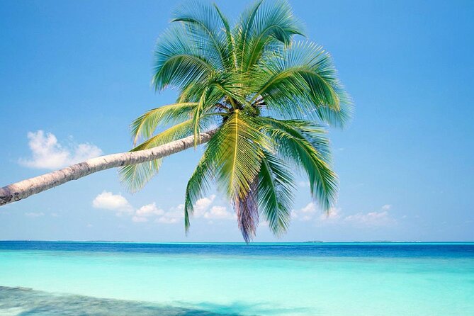 Lets Go To Jost Van Dyke, BVI - Additional Information