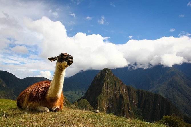 Lets Go to Machu Picchu and All Cusco Attraction. - Reviews and Ratings