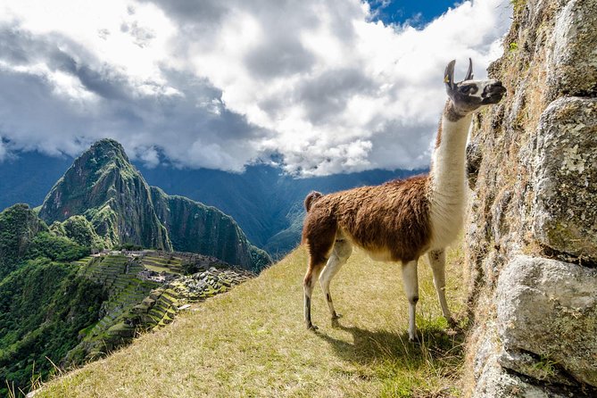 Lets Go to Machu Picchu and All Cusco Attraction. - Exploring Cusco Attractions
