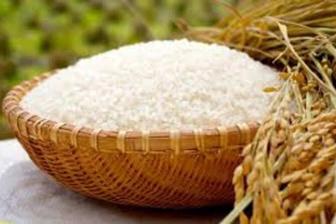 Lets Make Onigiri(Rice Ball) at Professional Cooking Studio - Key Points