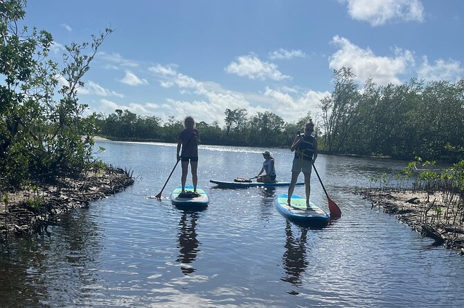 Let'S Paddle! Jupiter & Surrounding Areas - Key Points