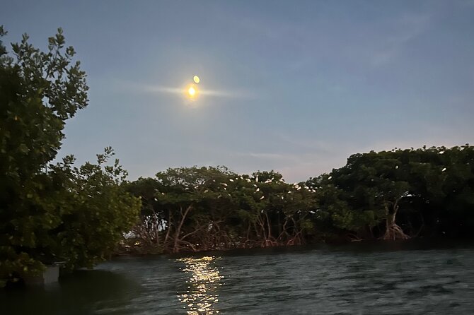 Let'S Paddle! Jupiter & Surrounding Areas - Schedule and Availability for Paddleboarding