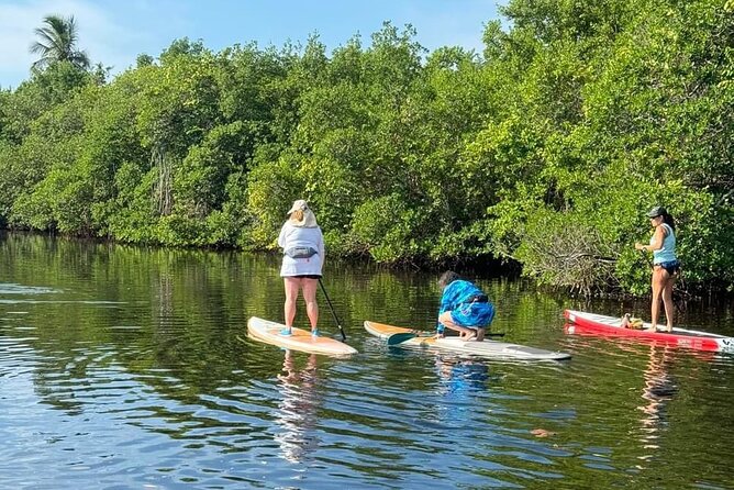 Let'S Paddle! Jupiter & Surrounding Areas - Accessibility Features for All Participants