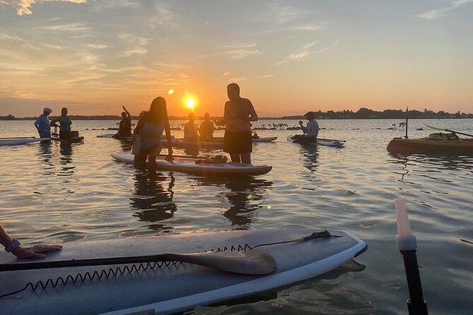 Let'S Paddle! Jupiter & Surrounding Areas - Exploring the Surrounding Areas While Paddleboarding