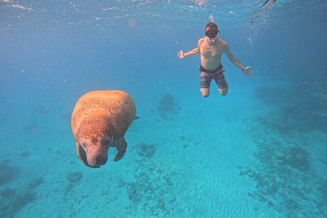 Lets Snorkel Hol Chan the Best Marine Reserve in Belize - Snorkeling Highlights and Marine Life