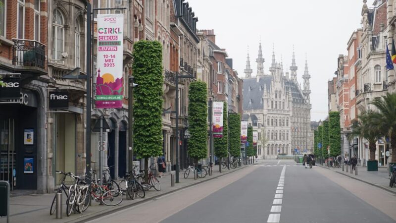 Leuven Private Walking Tour - Key Points